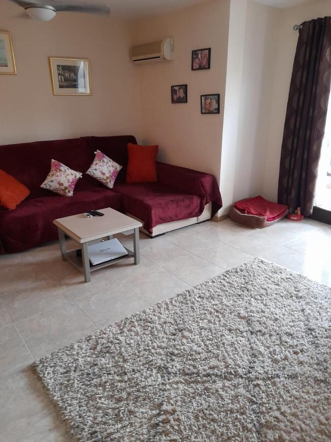 Apartment On The Plaza Alicante Dış mekan fotoğraf